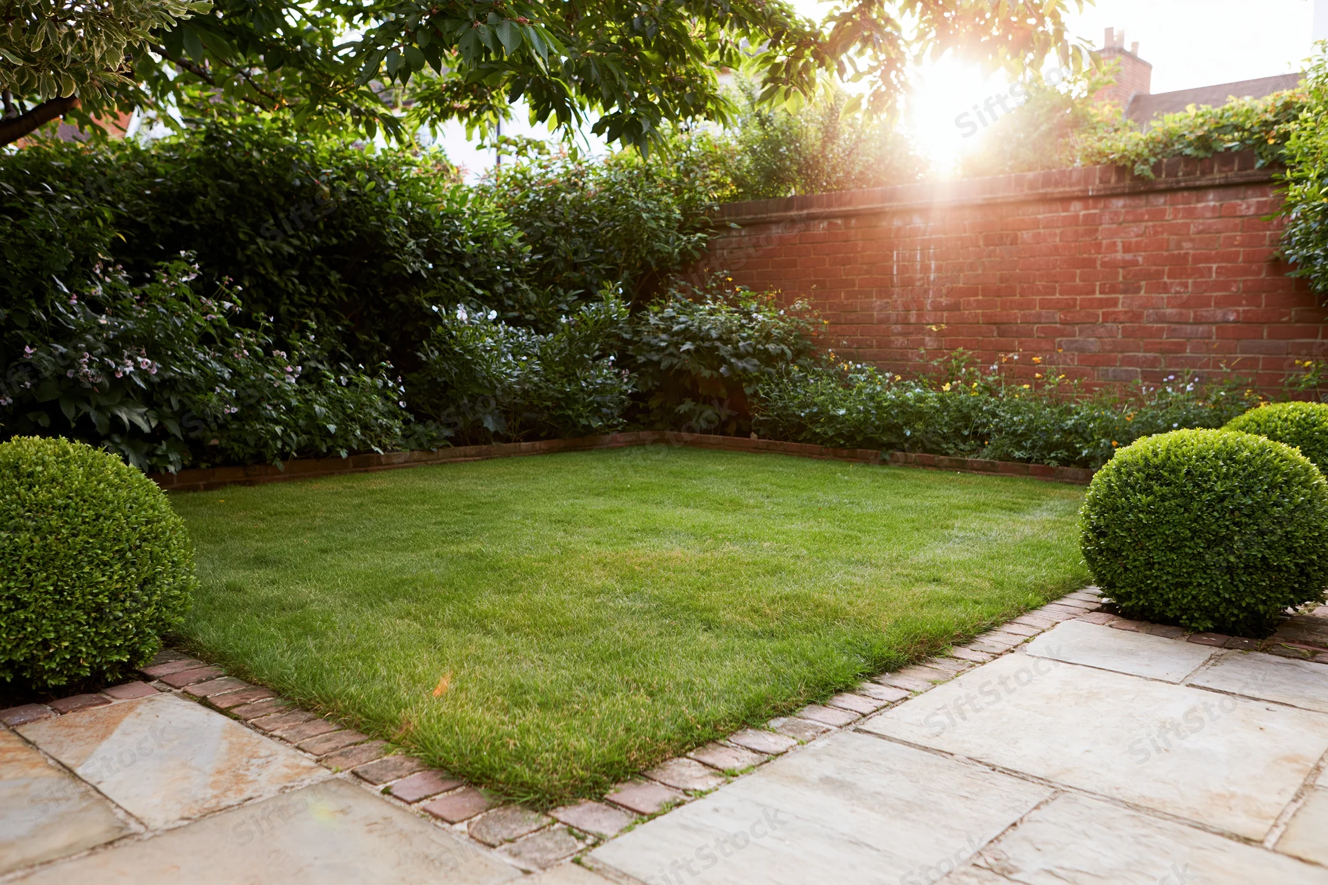 Manicured lawn bordered by hedges and brick wall with stone pathway in backyard garden