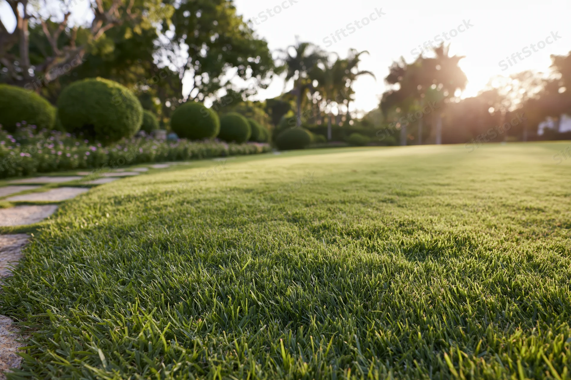 Manicured lawn stretching into open parkland with stone pathway and trimmed shrubs
