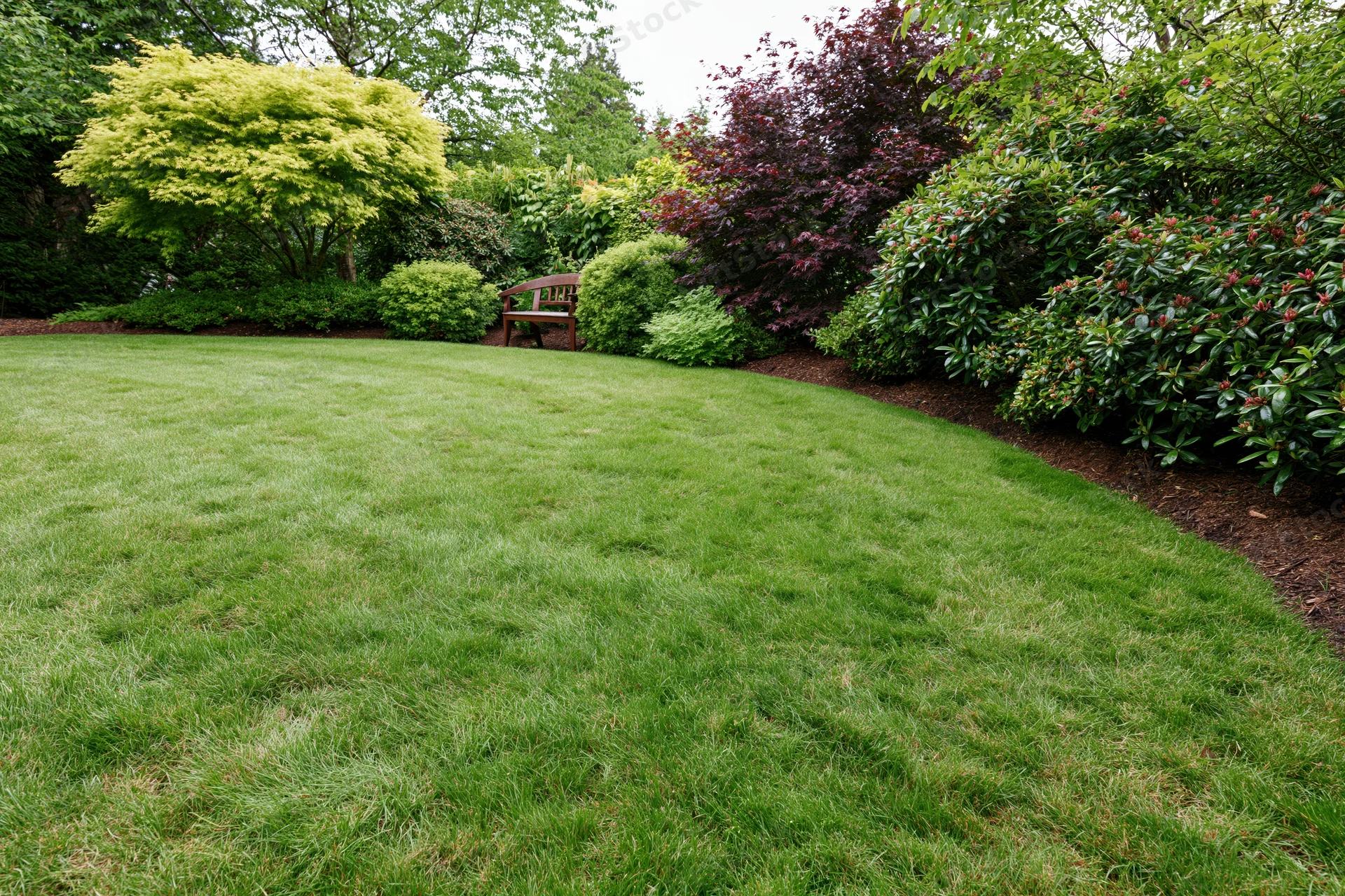 Manicured green lawn curving into a landscaped garden border with shrubs and a wooden bench