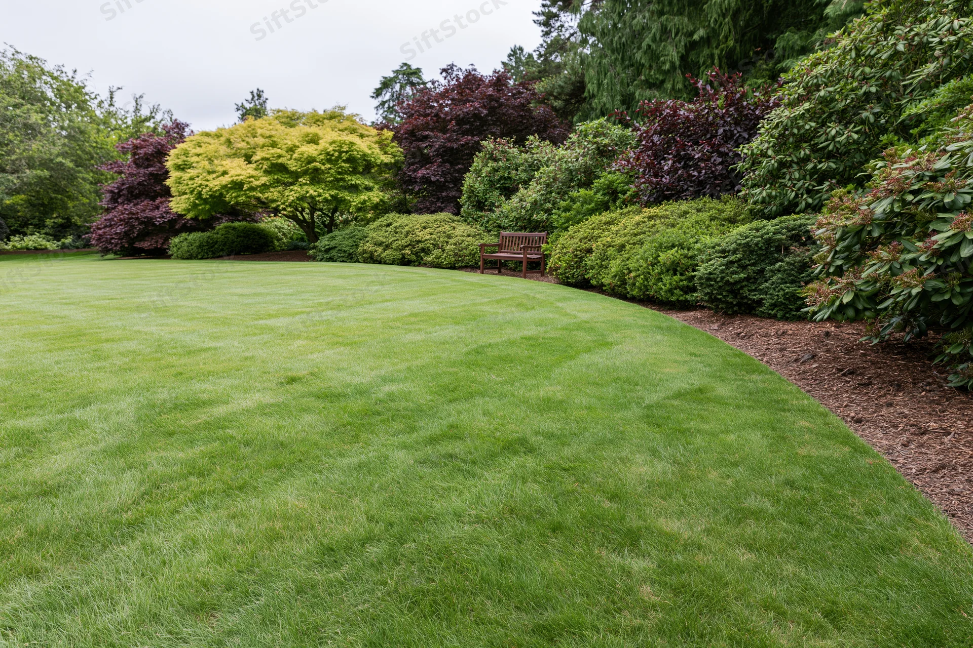 Manicured green lawn curving along a landscaped garden border with shrubs and a wooden bench