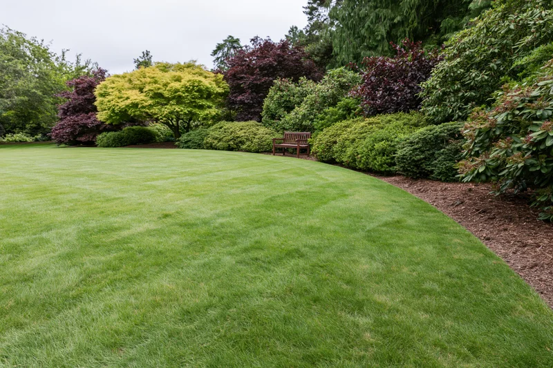 Manicured green lawn curving along a landscaped garden border with shrubs and a wooden bench