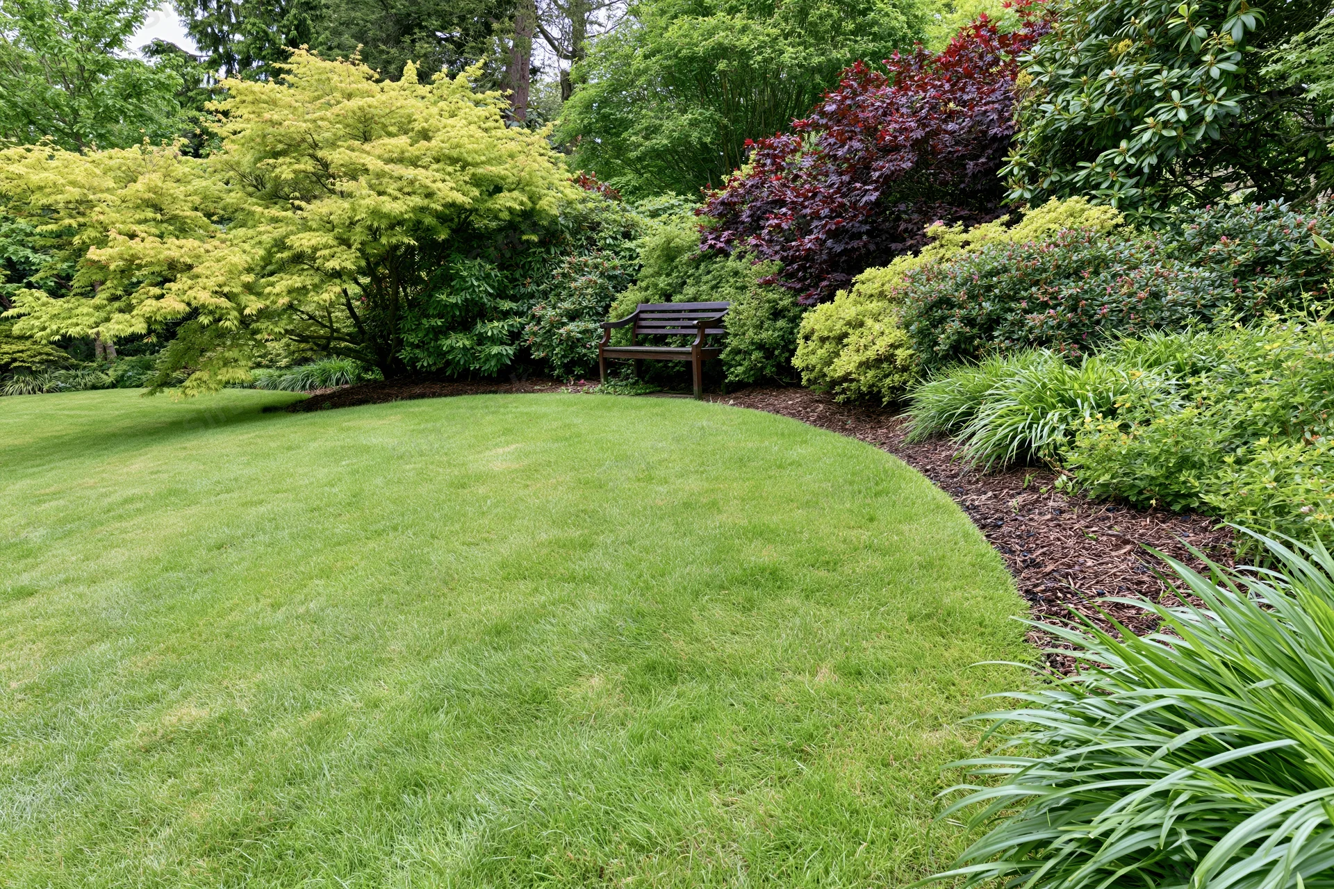 Manicured green lawn curving into a landscaped garden border with shrubs and a wooden bench