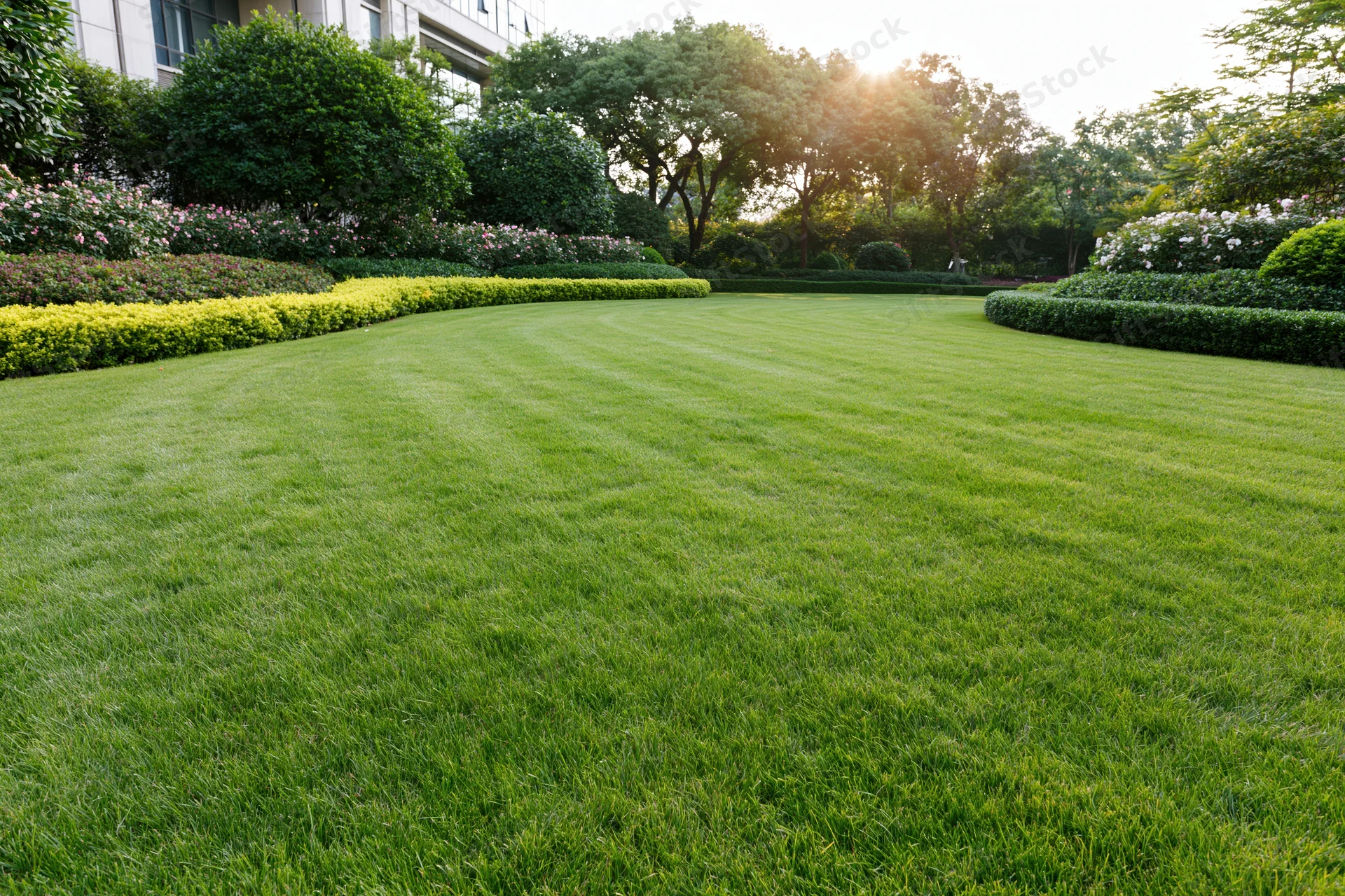 Manicured green lawn stretching across a landscaped garden with shrubs and trees in the background