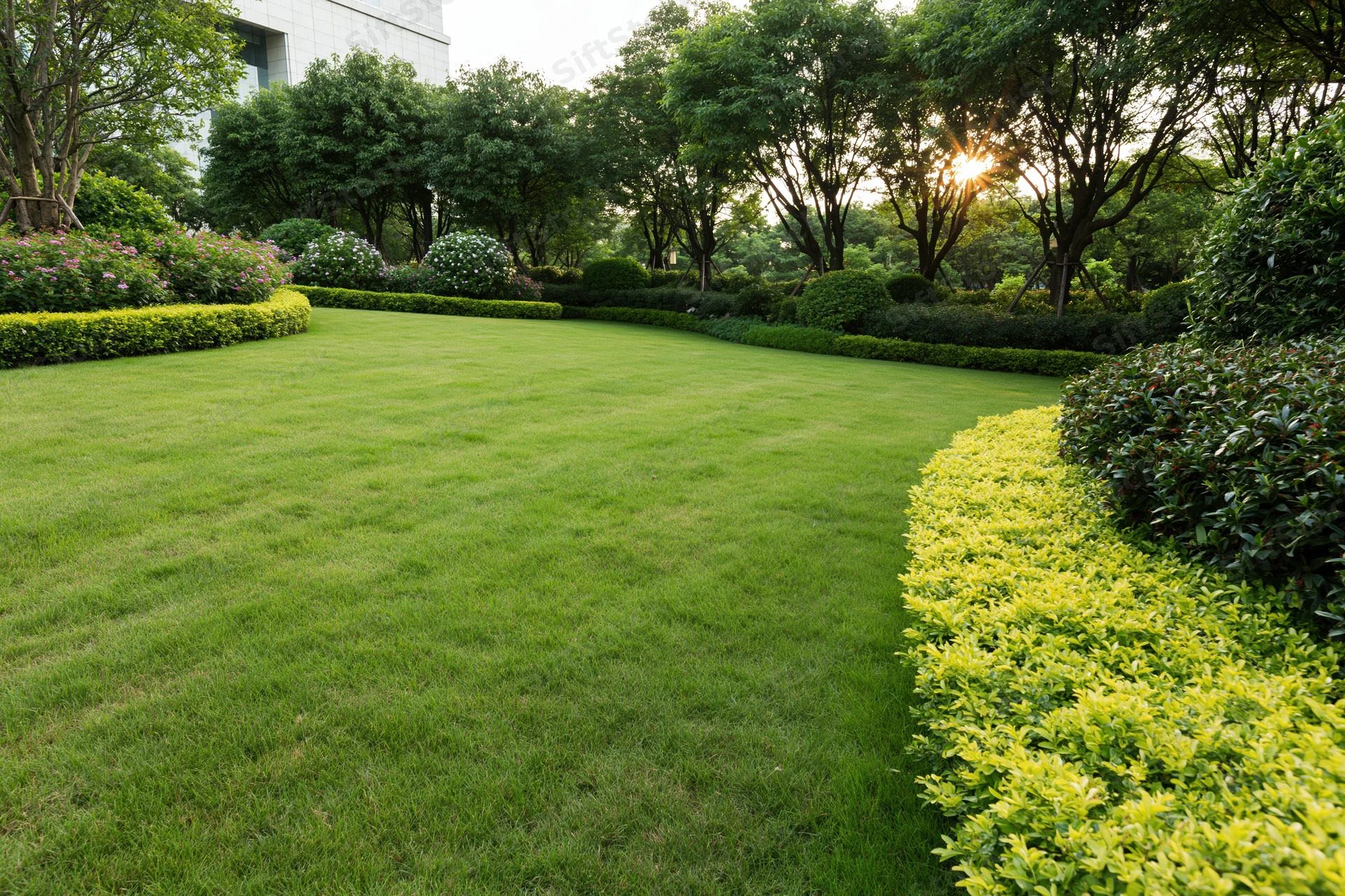 Manicured green lawn bordered by trimmed hedges and trees in a landscaped garden near a modern building at sunrise