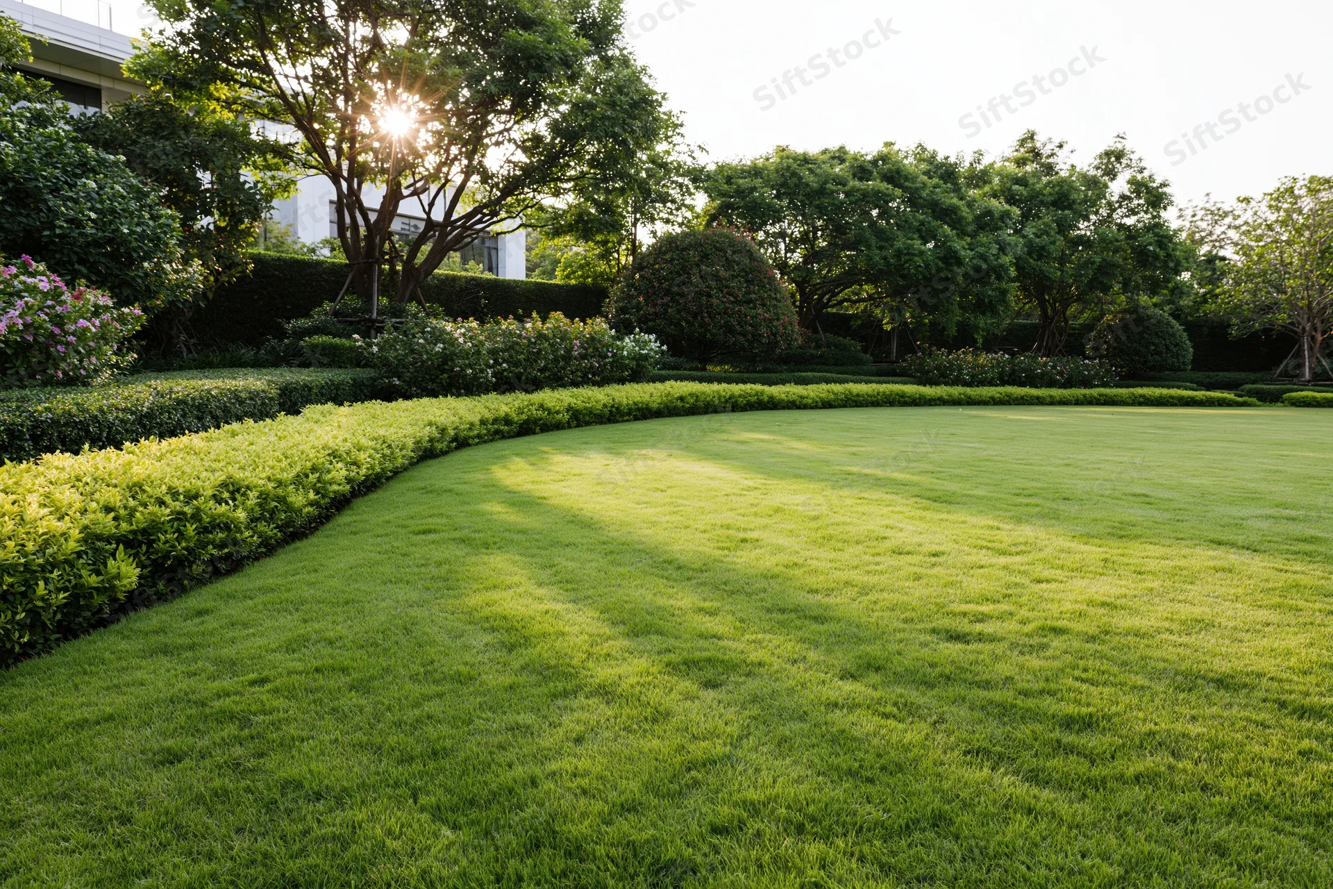 Manicured green lawn stretching across a landscaped garden with hedges and trees under sunlight