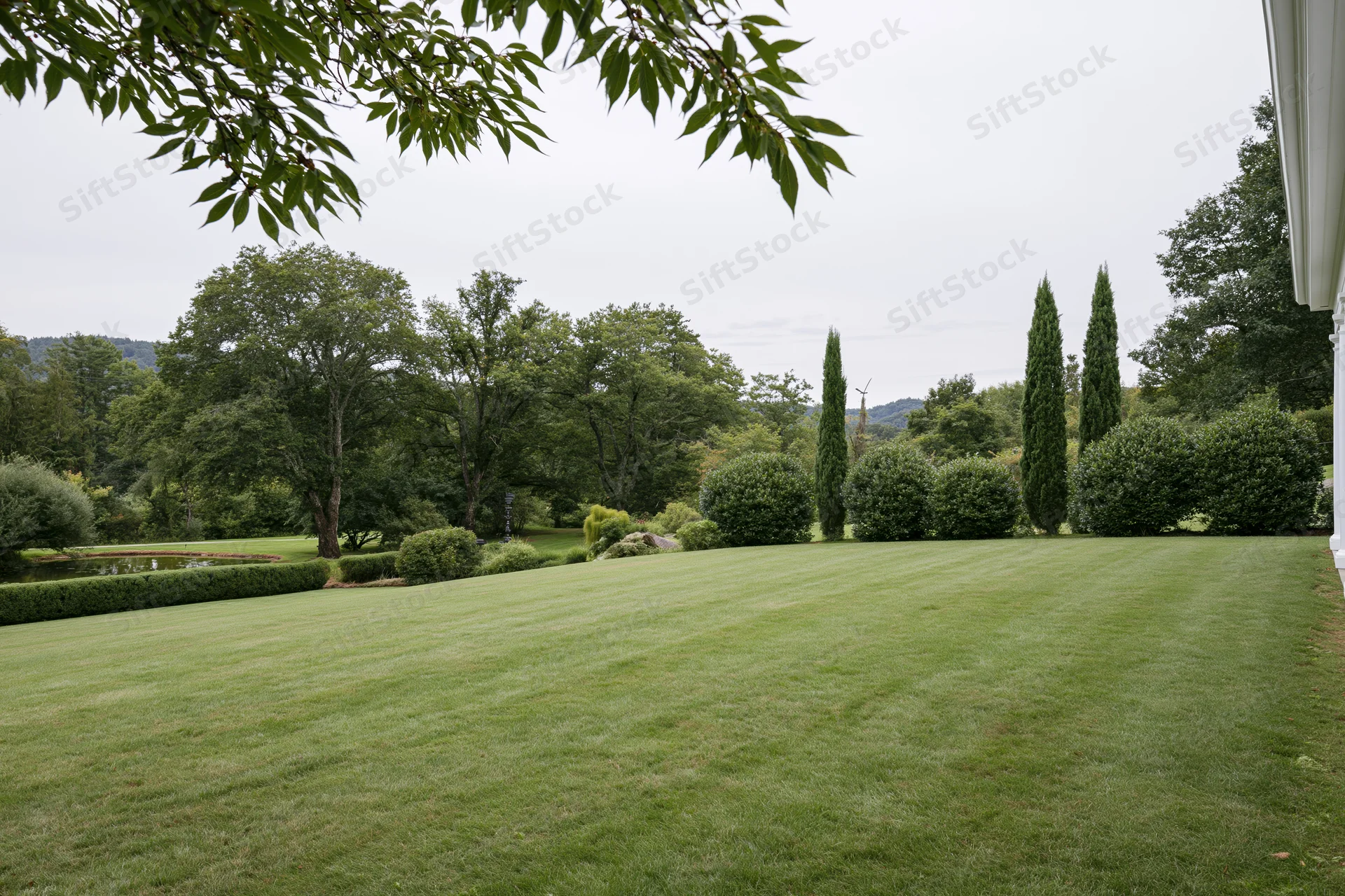 Manicured green lawn stretching toward a mixed treeline of broadleaf and conifer trees in a landscaped garden setting