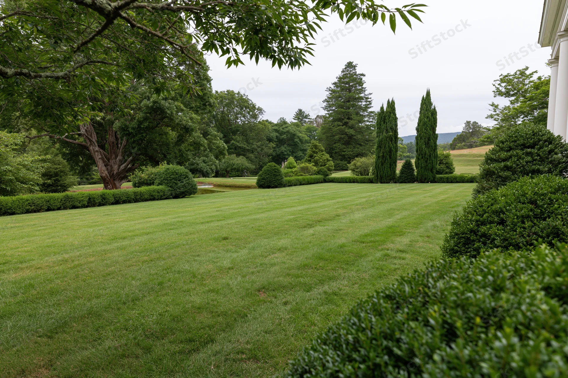 Manicured green lawn stretching toward a mixed treeline of broadleaf and coniferous trees in an estate garden setting