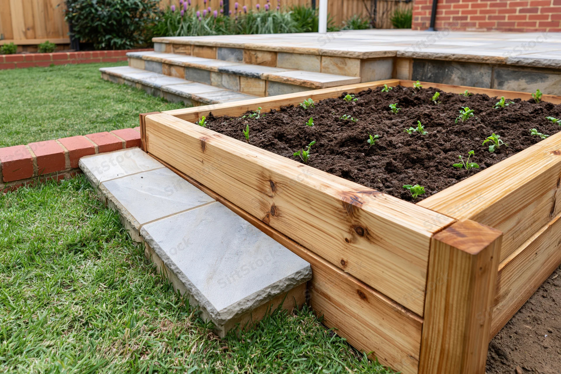 Wooden raised garden bed with young seedlings in a backyard garden near stone steps and lawn