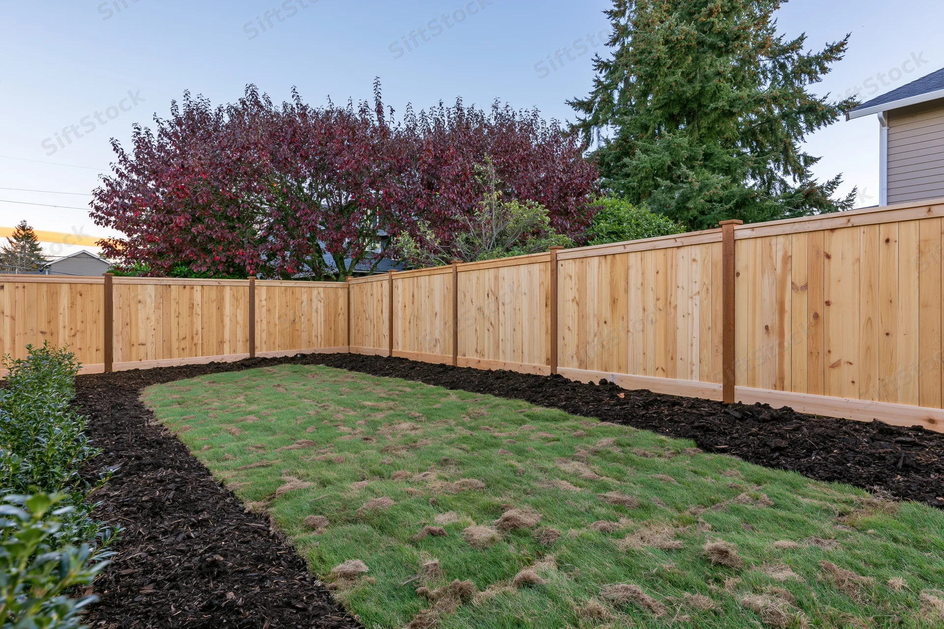 Newly landscaped suburban backyard with fresh sod lawn and wooden fence surrounding green grass and mulched beds
