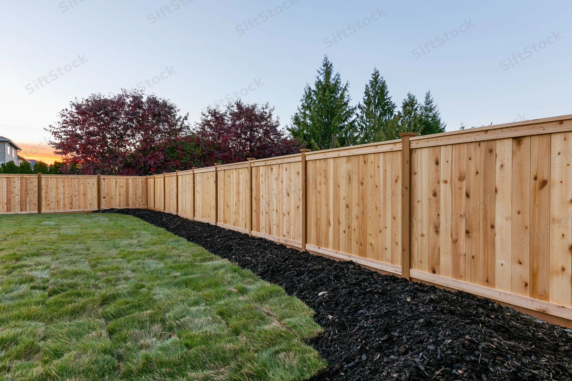 Wooden fence lining a newly sodded suburban backyard with mulch and trees at dusk