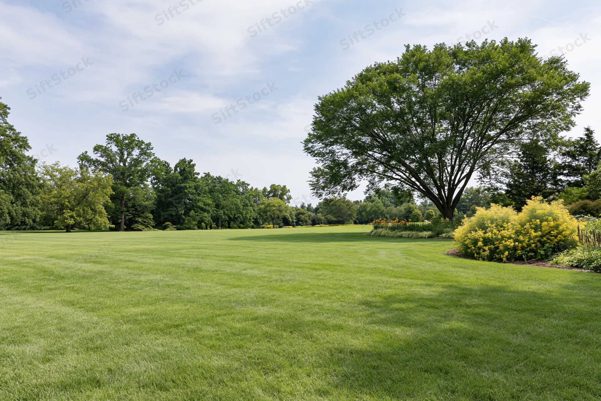 Open green lawn stretching toward a tree line under a partly cloudy sky