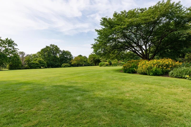 Open green lawn stretching toward a tree line with blooming shrubs and scattered trees under a partly cloudy sky