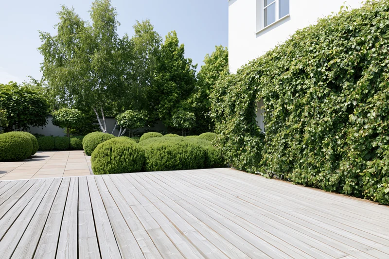 Wooden deck terrace leading to landscaped garden with hedges and trees