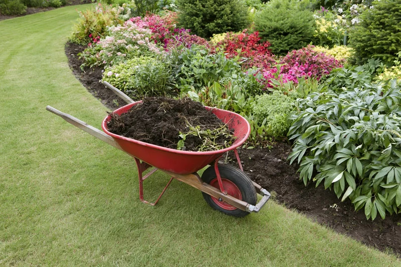 Red wheelbarrow filled with soil and garden debris parked on a lawn beside a flowerbed