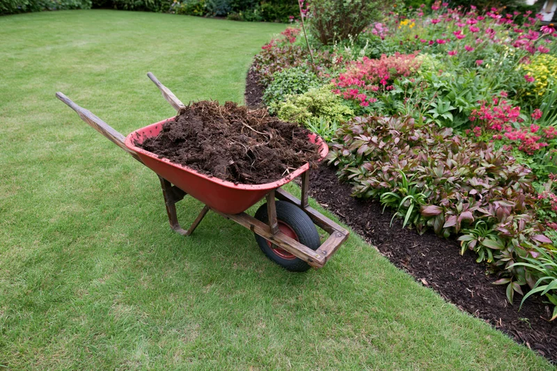 Red wheelbarrow filled with soil and garden debris parked on a green lawn beside a flowerbed