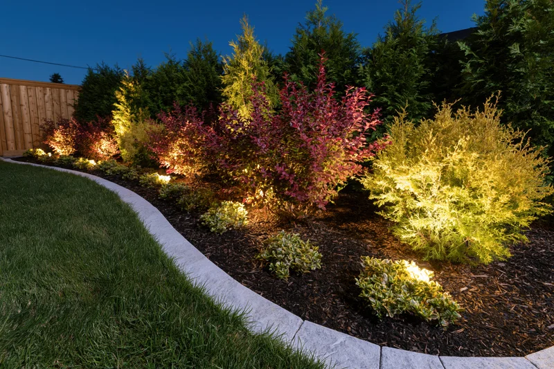 Curved garden bed with low-voltage lights illuminating shrubs and trees at dusk