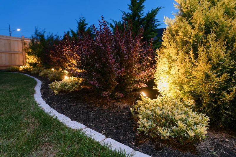 Curved garden bed with low-voltage lights illuminating shrubs and evergreens at dusk