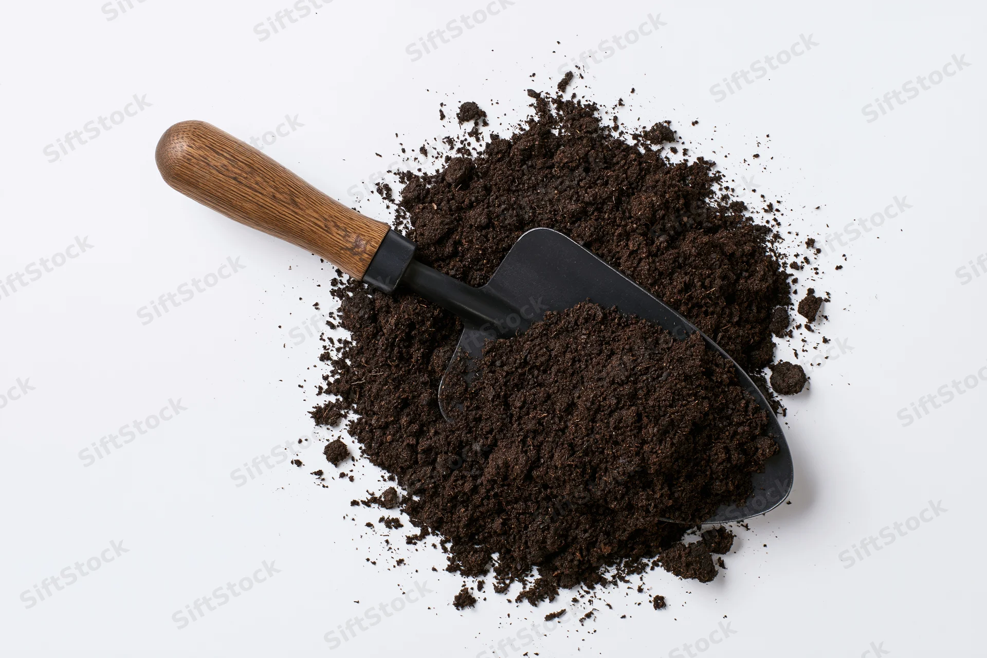 Garden trowel with wooden handle resting on a pile of dark soil against white background