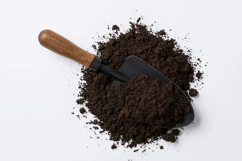 Garden trowel with wooden handle resting on a pile of dark soil against white background