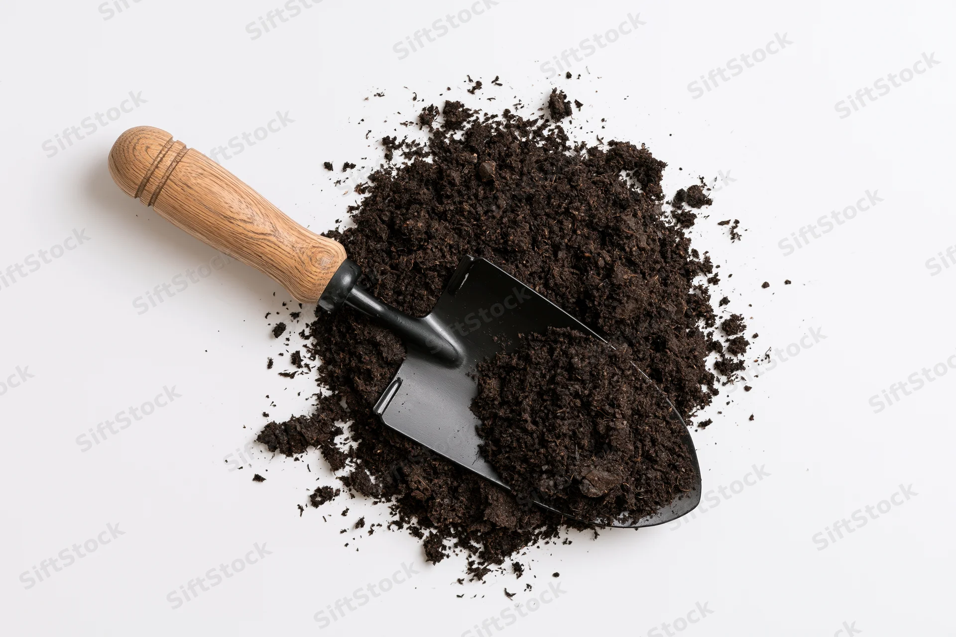 Metal garden trowel with wooden handle resting on pile of dark soil against white background