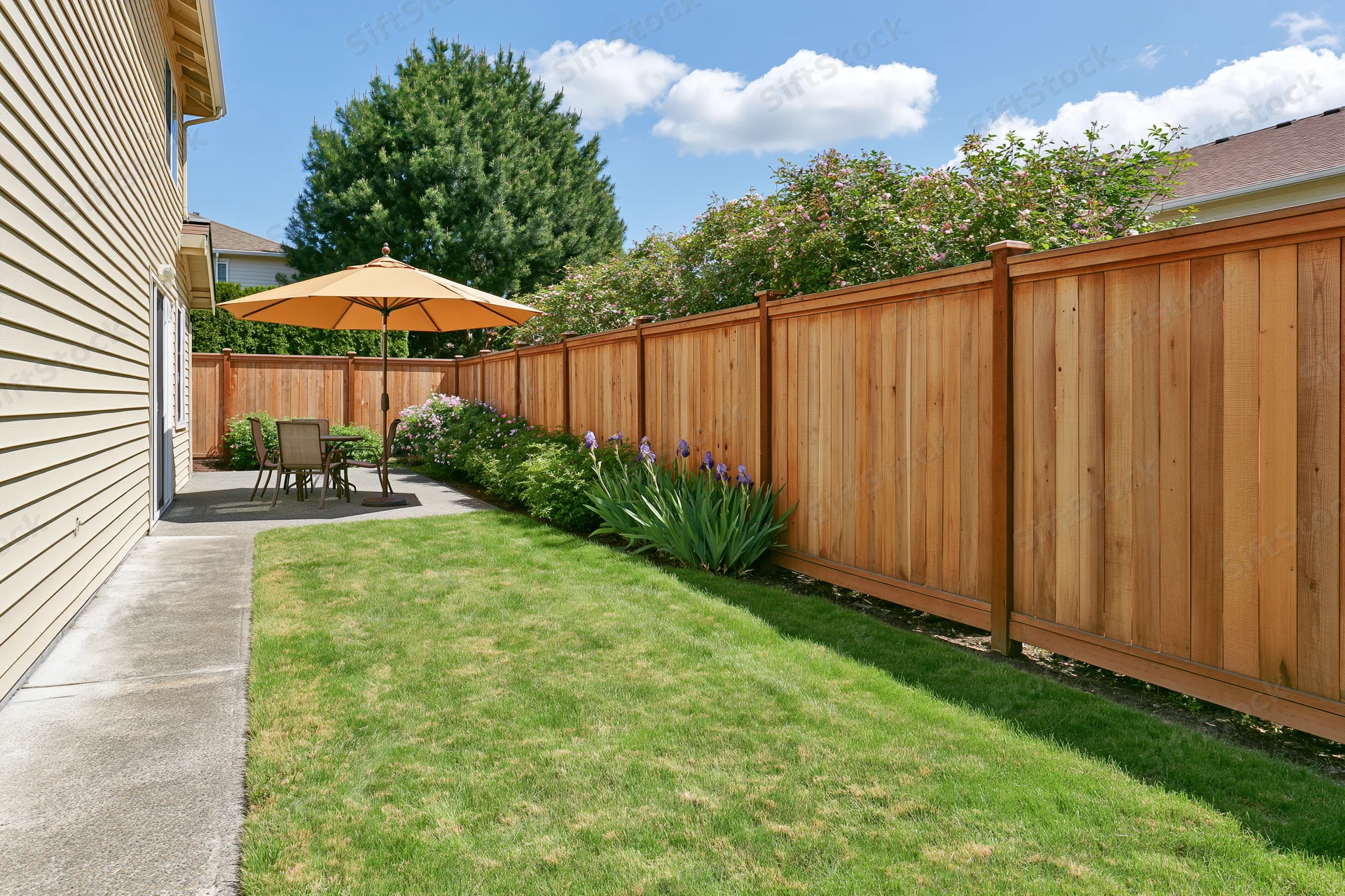 Suburban backyard with trimmed green lawn, wooden fence, patio umbrella and table, concrete pathway along house side