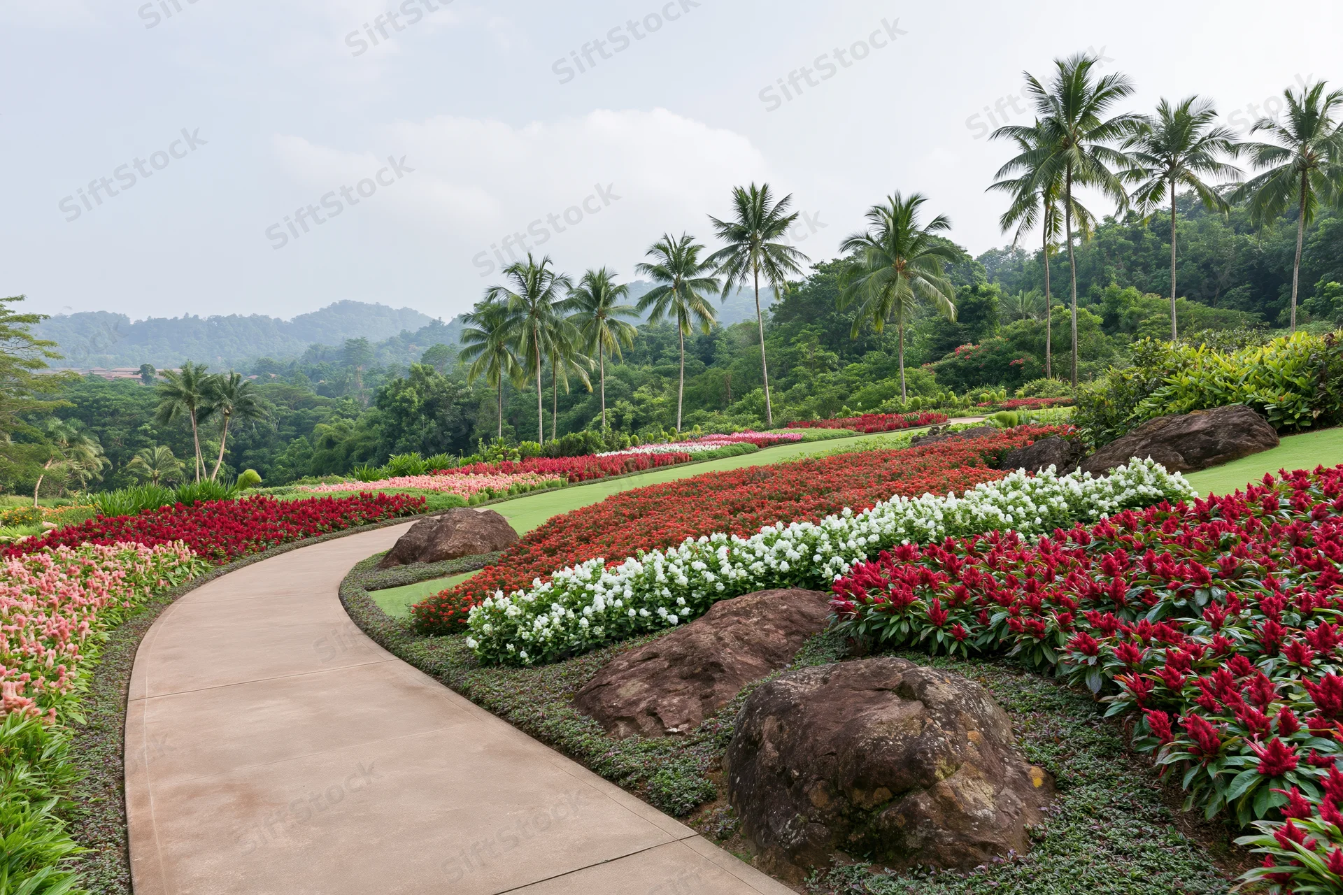 Sweeping view of a tropical botanical garden with manicured flower beds and palm trees along a curved pathway