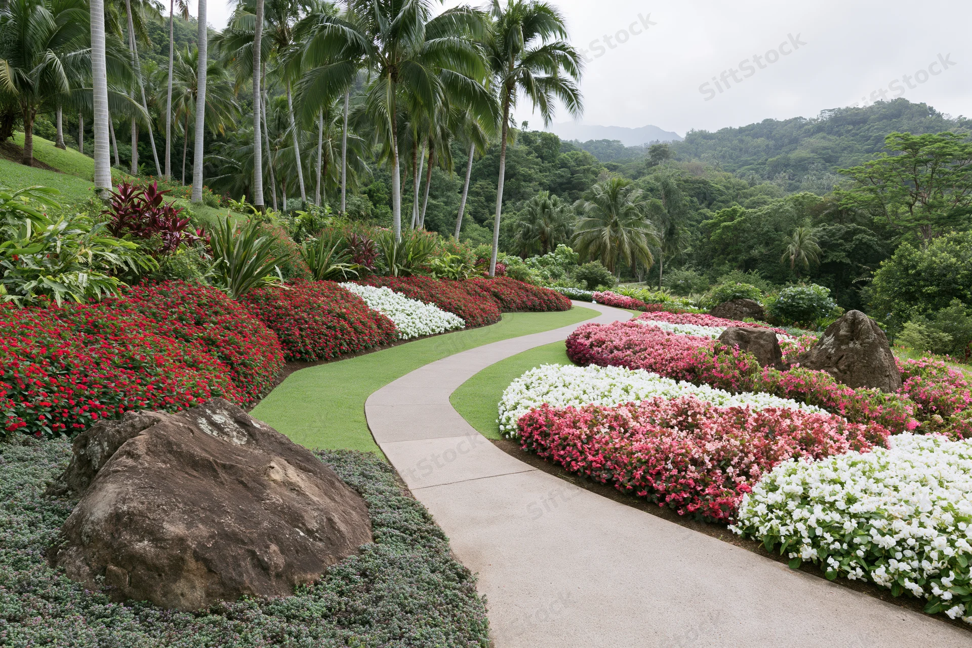 Curved pathway through manicured flower beds in a tropical botanical garden