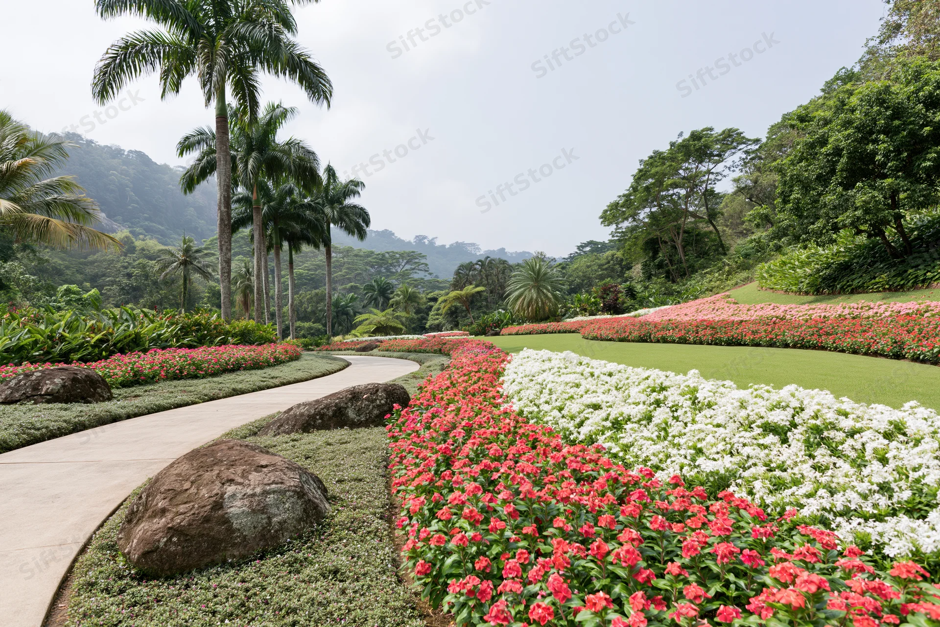 Sweeping view of a tropical botanical garden with manicured flower beds and palm trees along a curved pathway