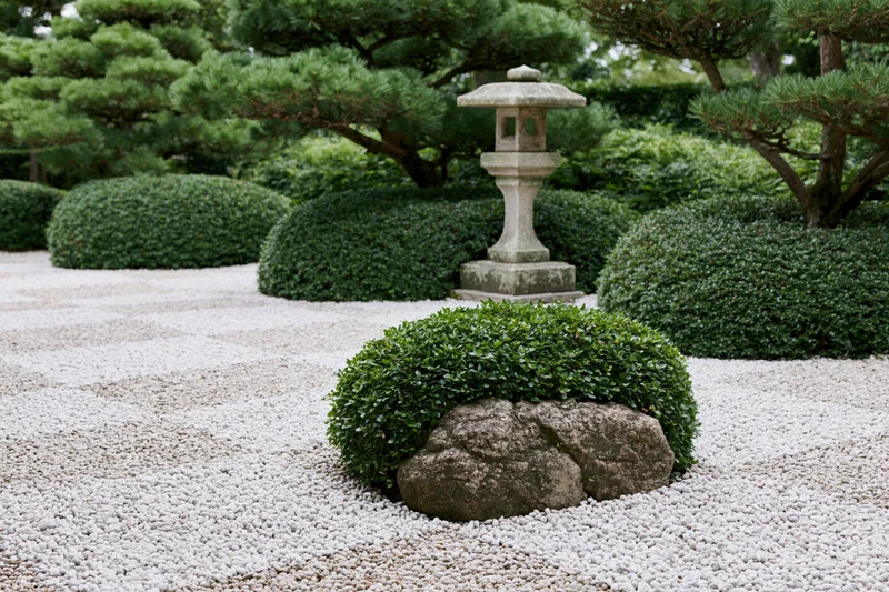 Traditional japanese zen garden with raked white gravel, stone lantern, and trimmed shrubs arranged in symmetry