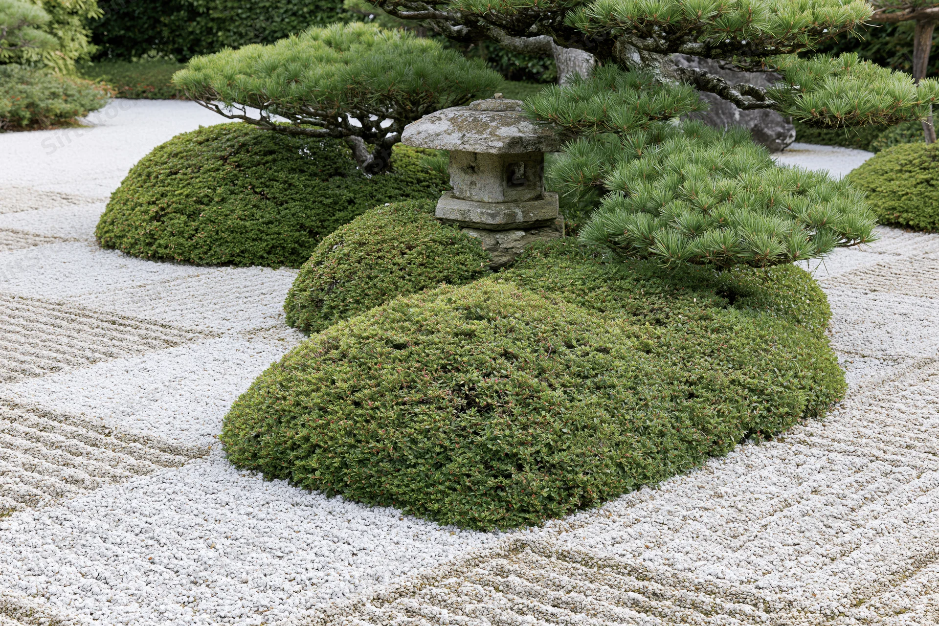 Raked white gravel and green shrubs arranged around a stone lantern in a traditional japanese zen garden