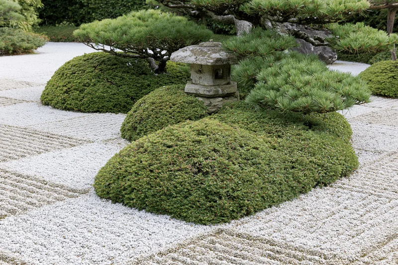 Raked white gravel and green shrubs arranged around a stone lantern in a traditional japanese zen garden