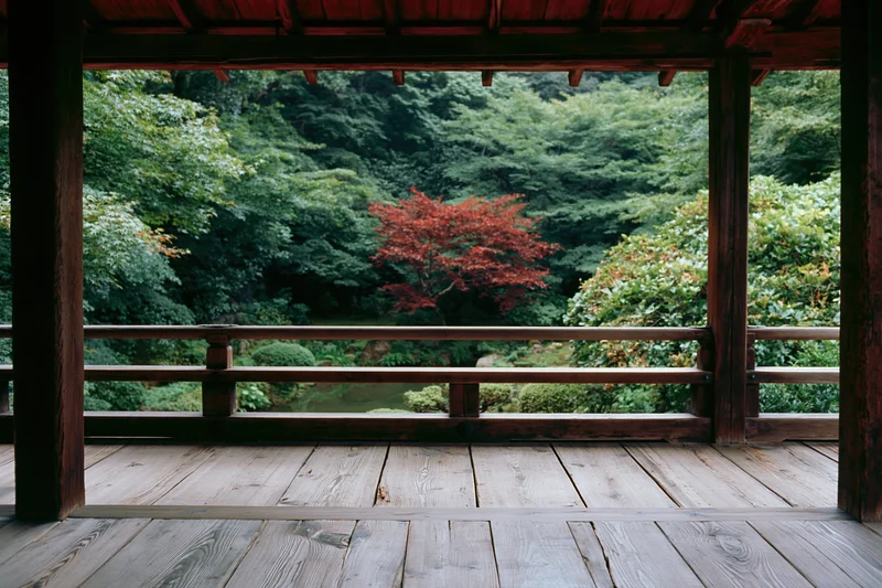 View from a traditional japanese temple veranda overlooking a lush green garden with a red tree in autumn