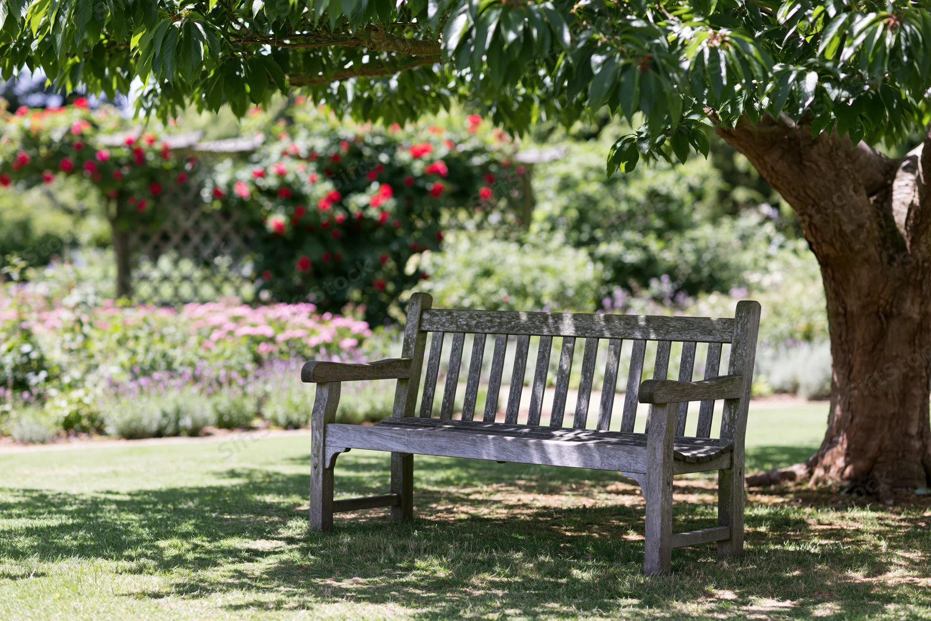 Weathered wooden bench under a tree in a garden with flowers and greenery