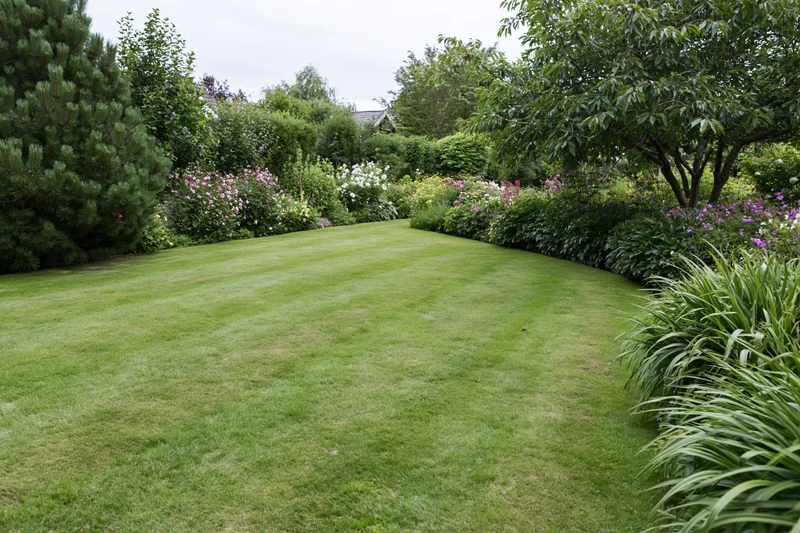 Neatly mowed green lawn bordered by flowering shrubs and trees in a residential garden