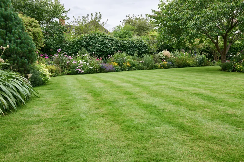 Neatly mowed green lawn with flowerbeds and shrubs in a residential garden