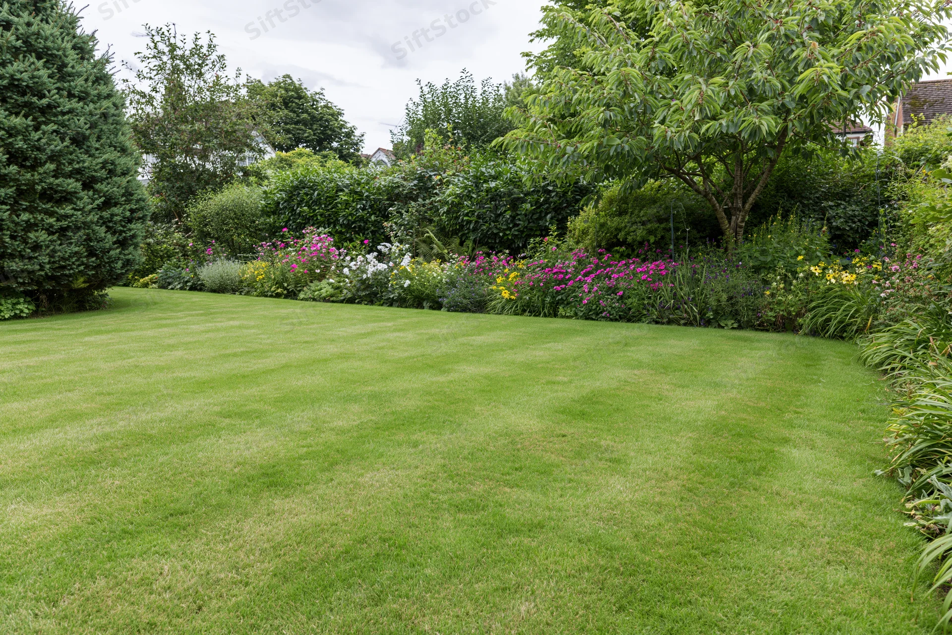 Neatly mowed green lawn bordered by colorful flowerbeds and shrubs in a residential garden
