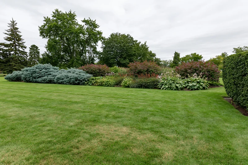 Neatly mowed lawn bordered by shrubs and trees in a public park garden