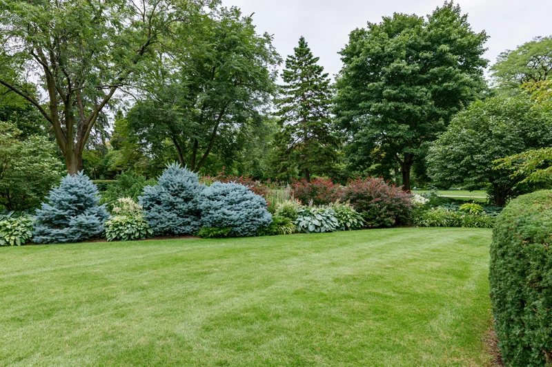 Neatly mowed lawn bordered by shrubs and trees in a public park garden