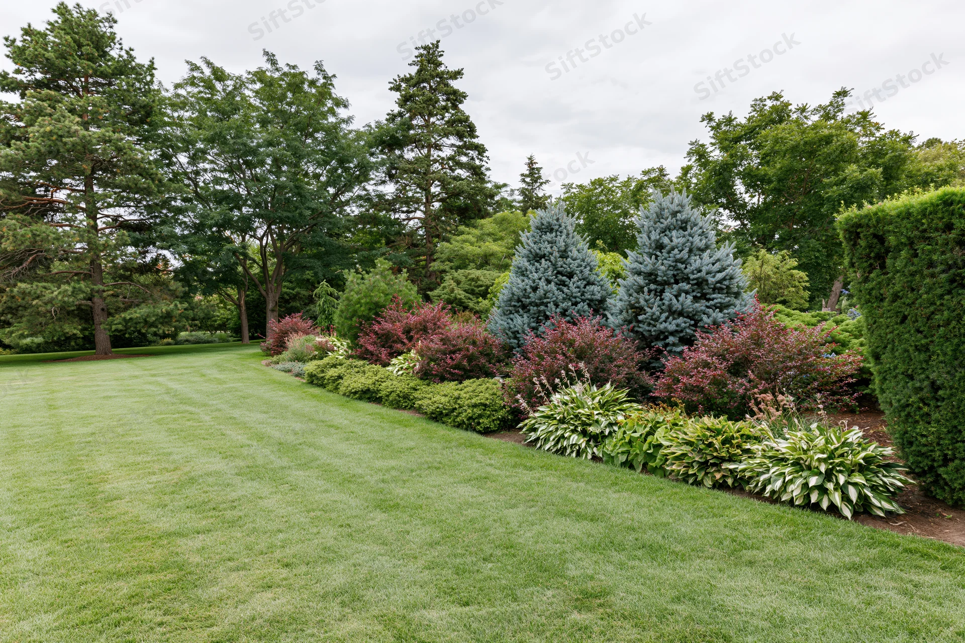 Neatly mowed lawn bordered by shrubs and evergreen trees in a public park garden