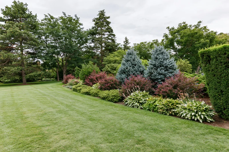 Neatly mowed lawn bordered by shrubs and evergreen trees in a public park garden