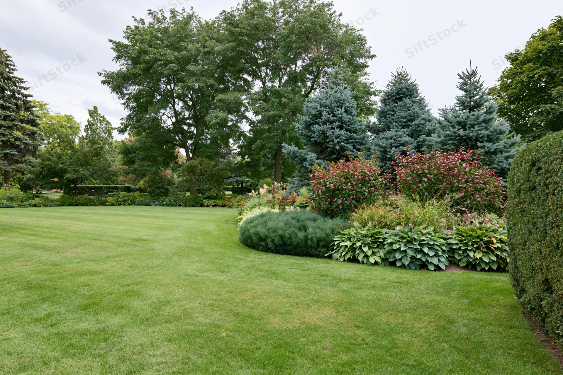 Neatly mowed green lawn bordered by shrubs and trees in a public park garden