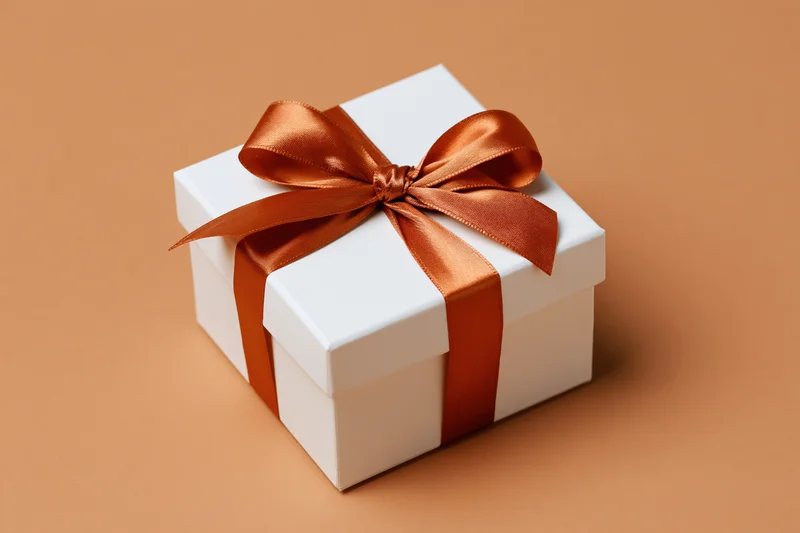 White gift box tied with a glossy burnt-orange satin ribbon on a solid terracotta background