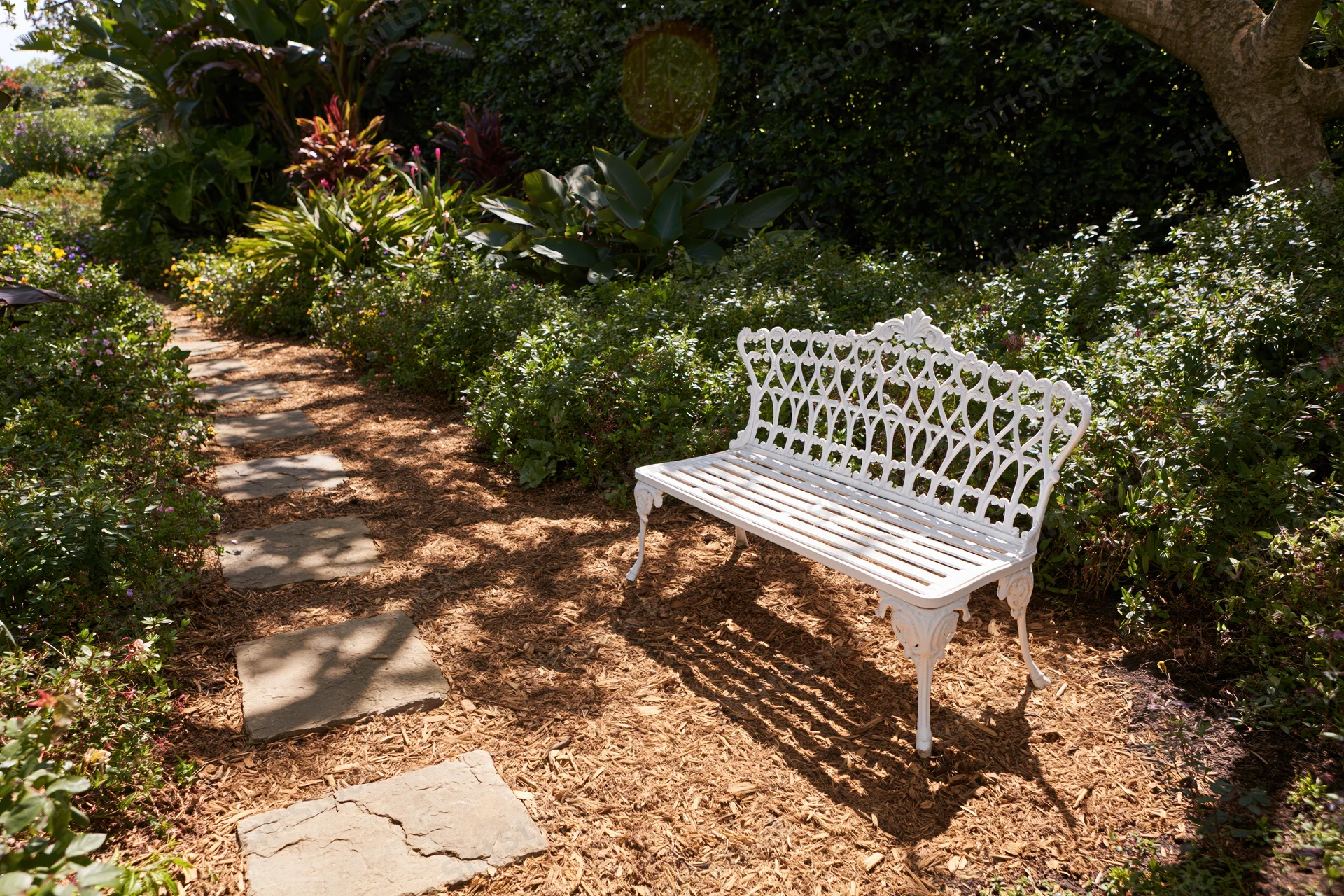 White ornate cast-iron bench on mulched garden path surrounded by greenery