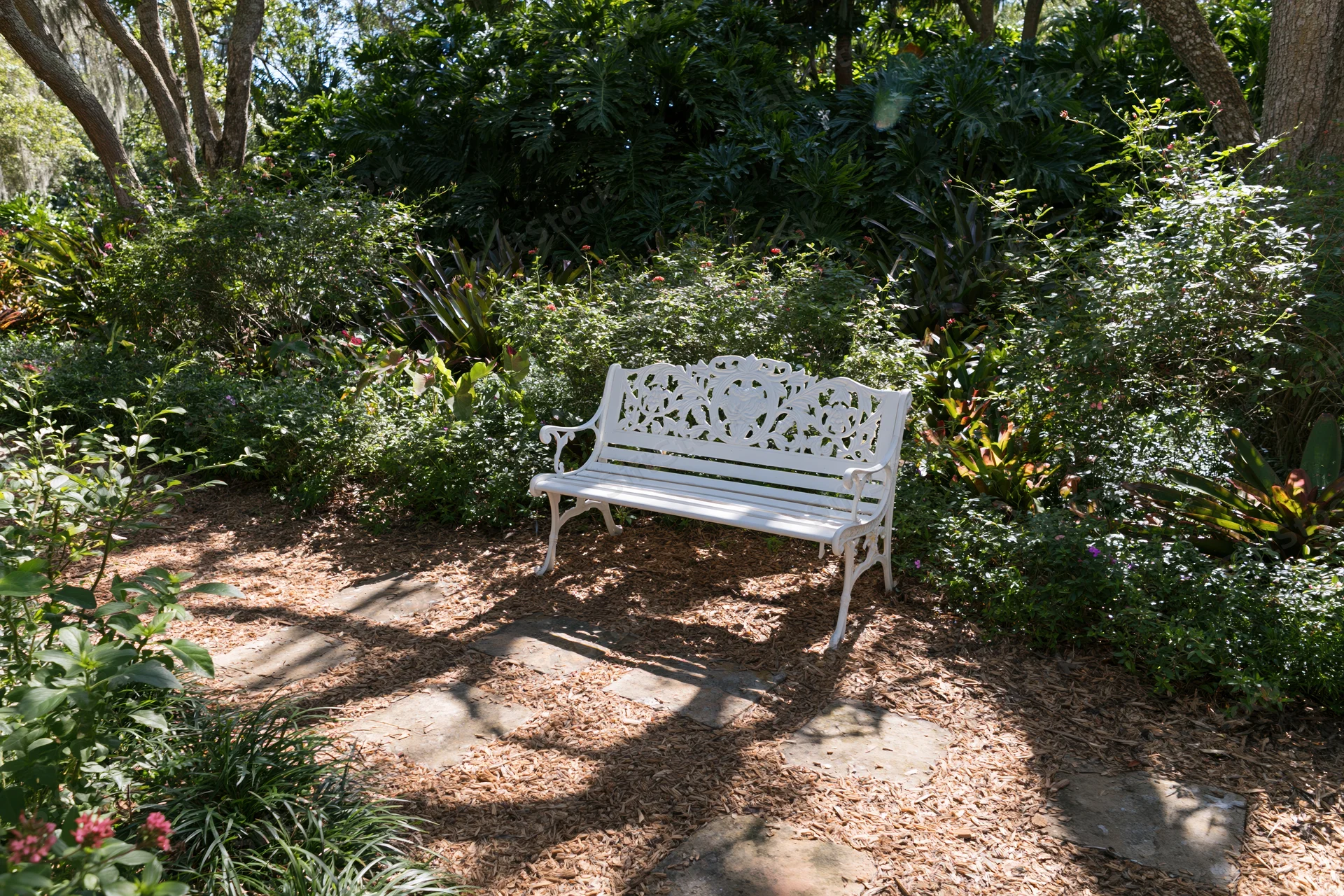White ornate cast-iron bench on a mulched path surrounded by lush greenery and trees in a garden setting