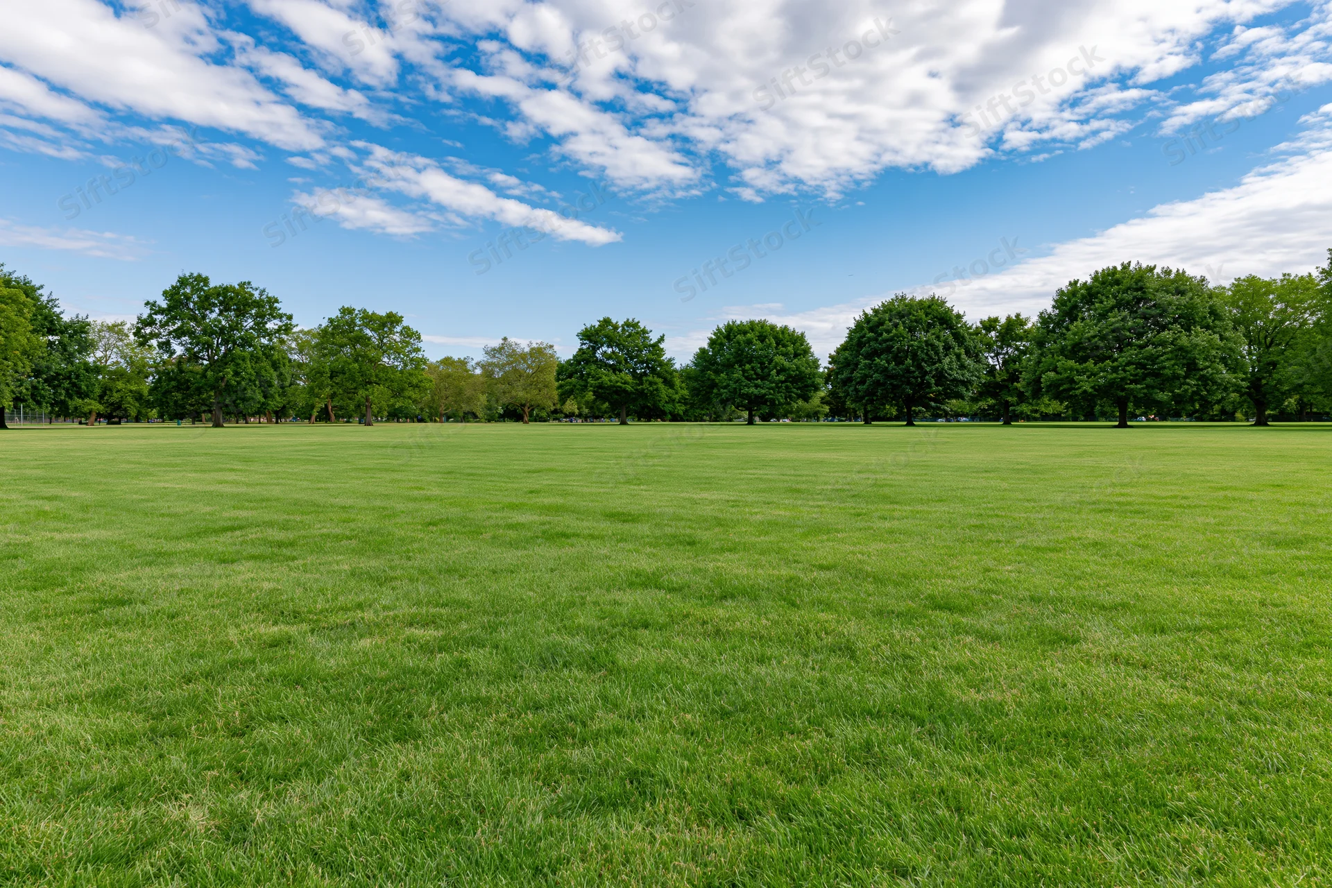 Wide open park lawn stretching toward a line of trees under a blue sky with scattered clouds