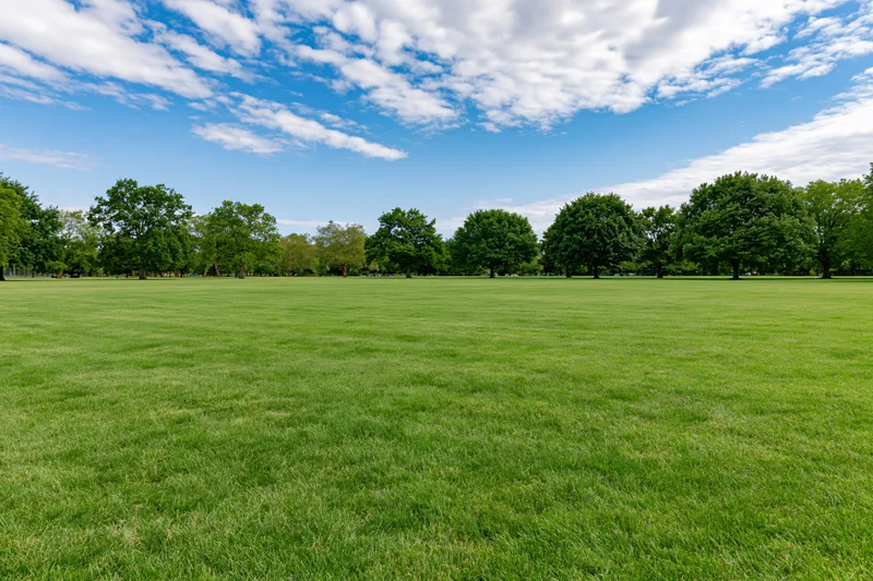 Wide open park lawn stretching toward a line of trees under a blue sky with scattered clouds