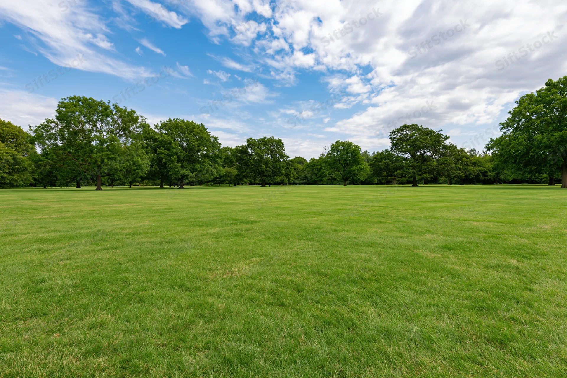 Wide open park lawn stretching toward a tree line under a partly cloudy sky
