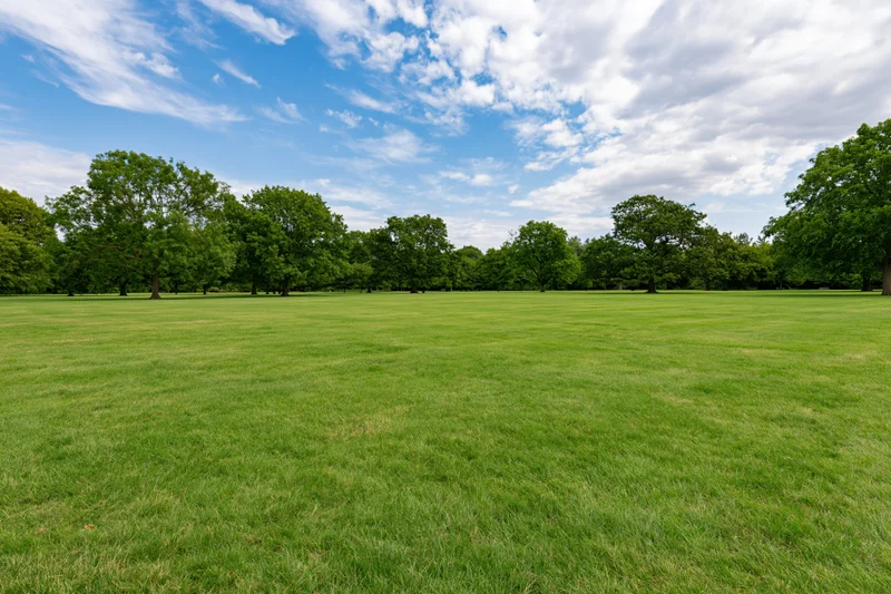 Wide open park lawn stretching toward a tree line under a partly cloudy sky