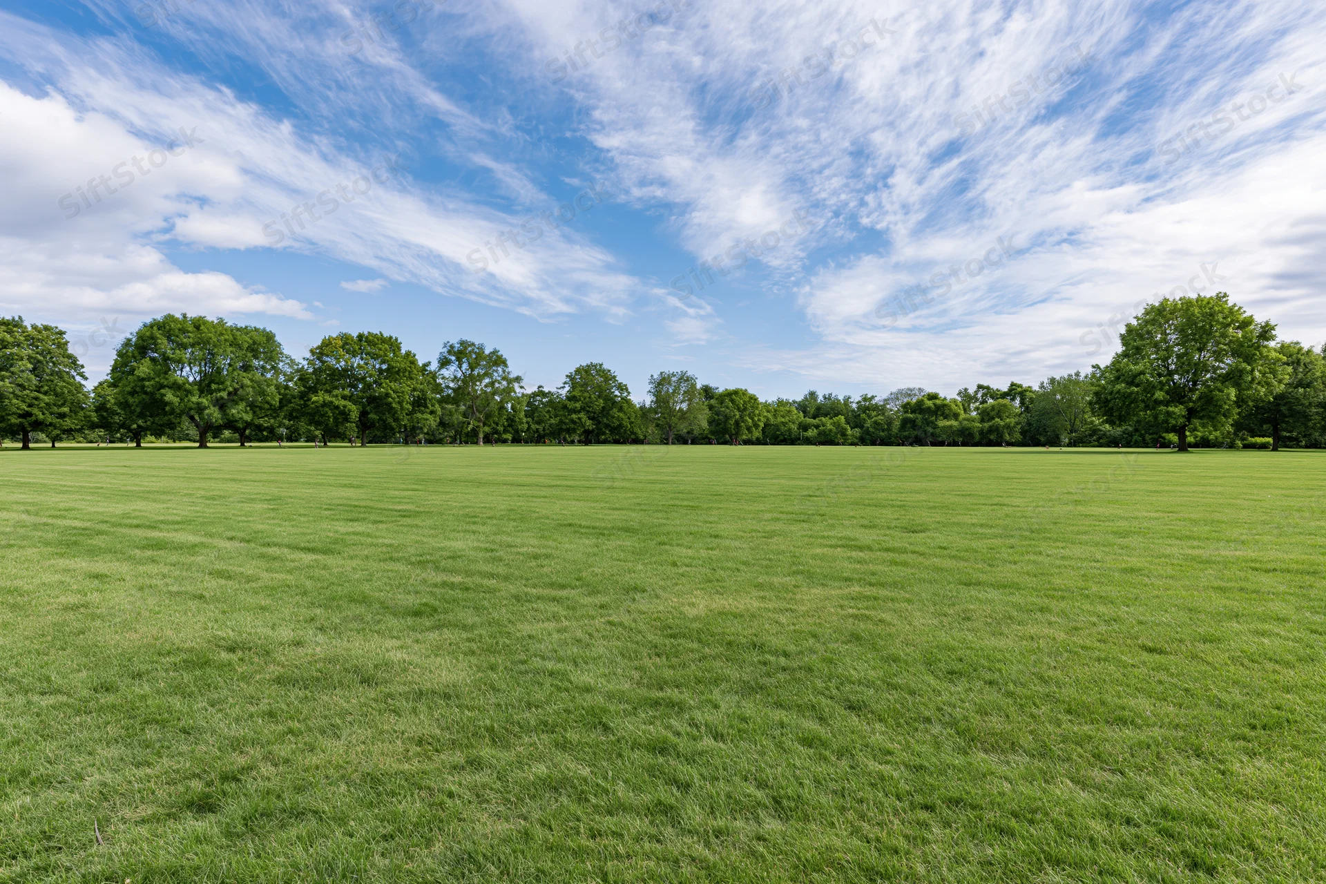 Wide open park lawn stretching toward a tree line under a blue sky with scattered clouds