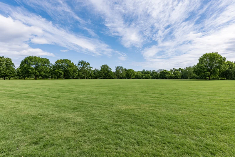 Wide open park lawn stretching toward a tree line under a blue sky with scattered clouds